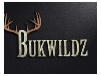 Website_Financial Wellness Logo